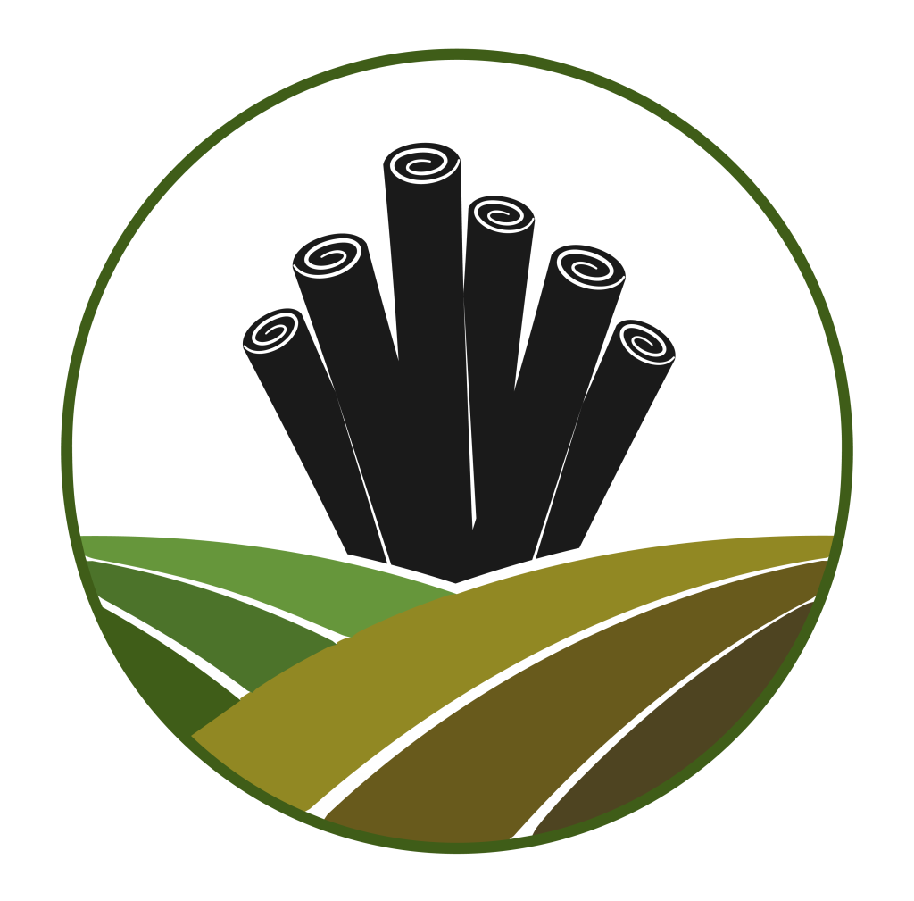 Icons seeds 01