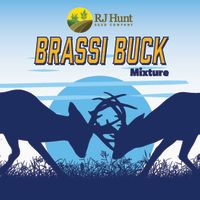 buck graphic